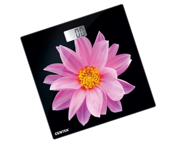 Centek CT-2416 Pink Flower