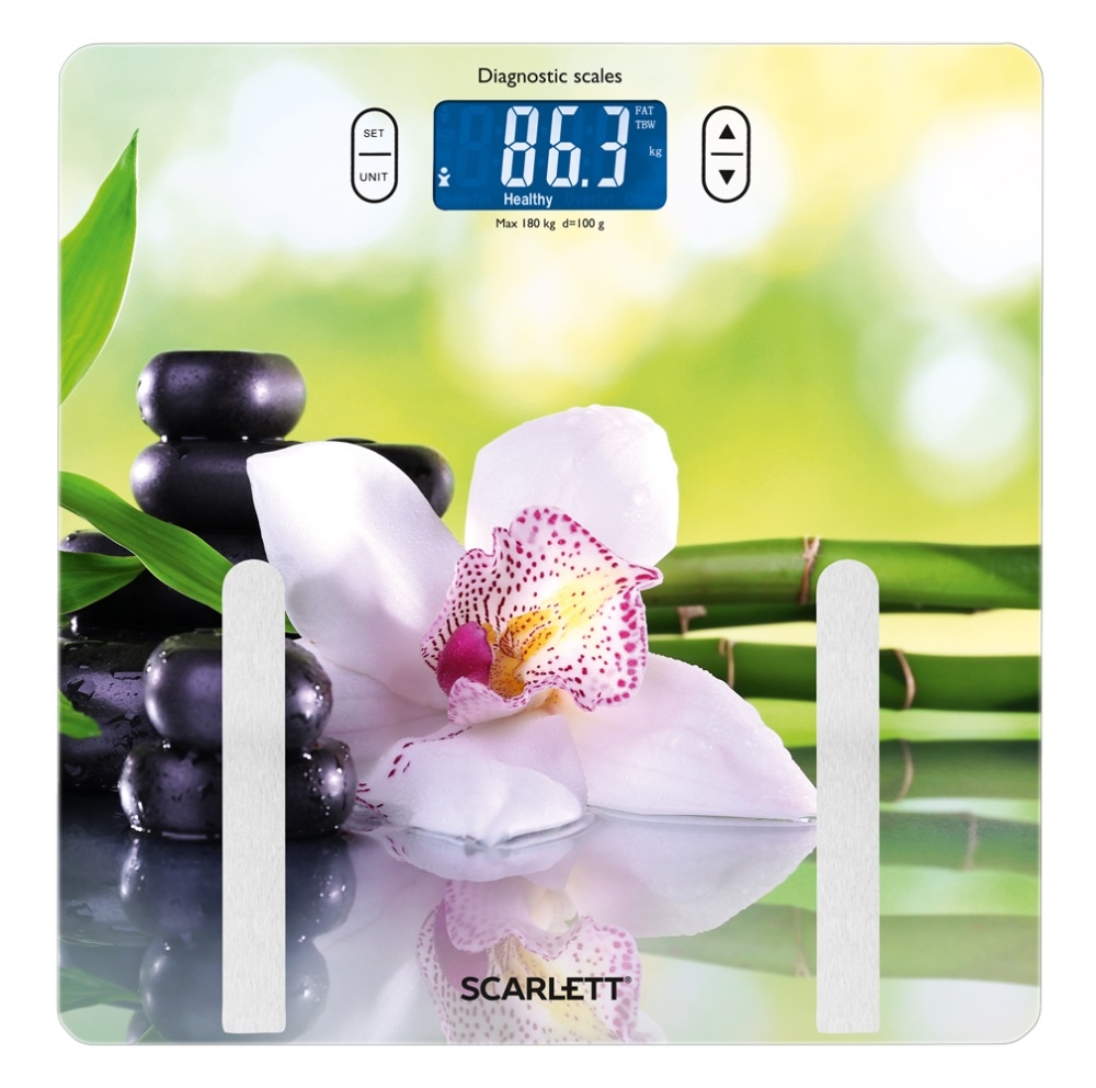 SCARLETT SC-BS33ED10